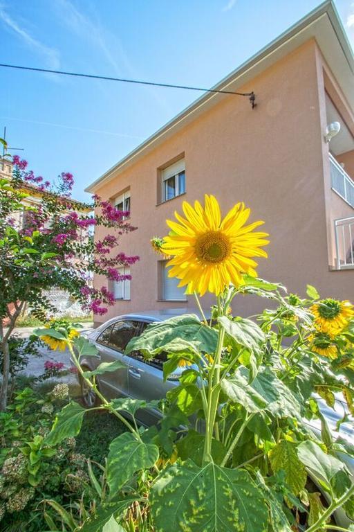 Apartman Nena Crikvenica Exteriör bild