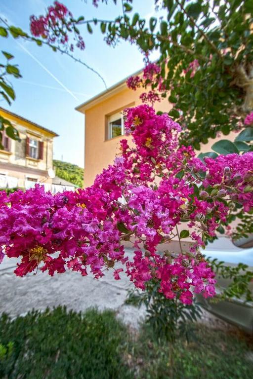Apartman Nena Crikvenica Exteriör bild